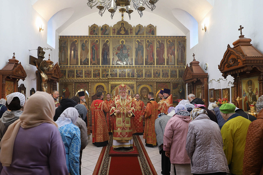 Архипастырский визит в Богородское благочиние